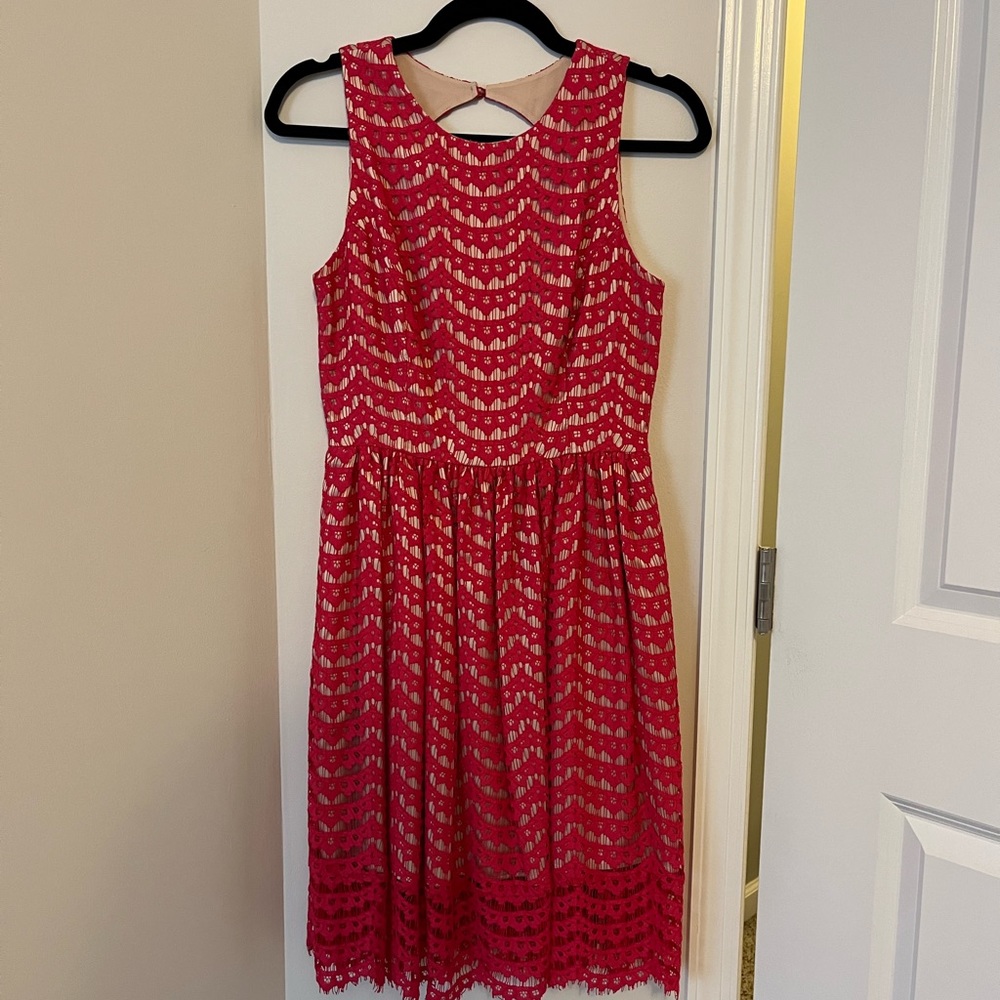 Eliza J. Belted Scalloped Lace Fit and Flare Pink Dress, Size 2